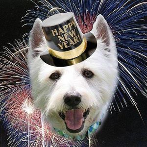 Meet your Posher, Pam