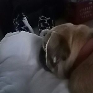 Meet your Posher, Stacey