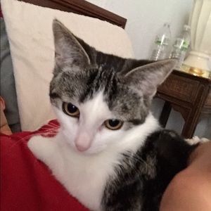 Meet your Posher, Jonathan