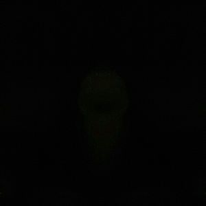 Meet your Posher, Sherry