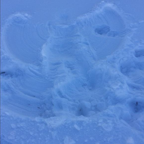 Meet your Posher, Gabriella - Picture 1 of 1