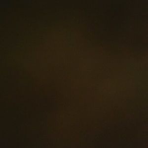 Meet your Posher, Sebastian