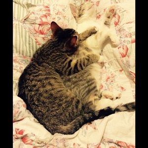 Meet your Posher, Zoie