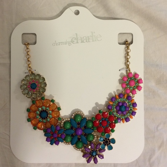 Charming Charlie's necklace