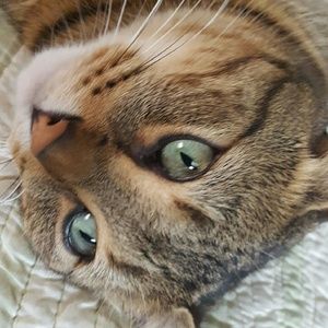 Meet your Posher, Aimee