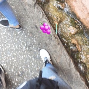 Meet your Posher, Sofia