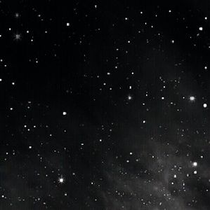 Meet your Posher, Learae