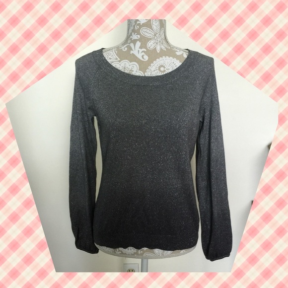 Ann Taylor Silver Sweater