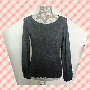 Ann Taylor Silver Sweater