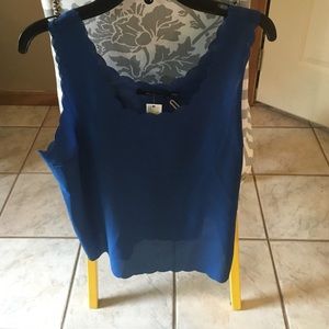 Super cute blue size large sleeveless top. NWT