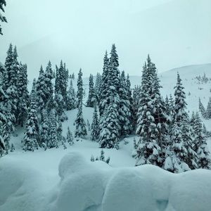 Meet your Posher, Mariel kaye