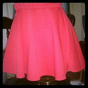 Wet Seal Skater Skirt