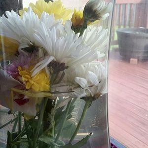 Meet your Posher, Tess