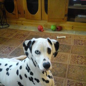 Meet your Posher, Debbe