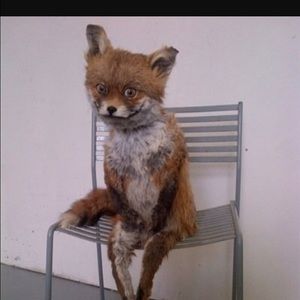 Meet your Posher, Alison