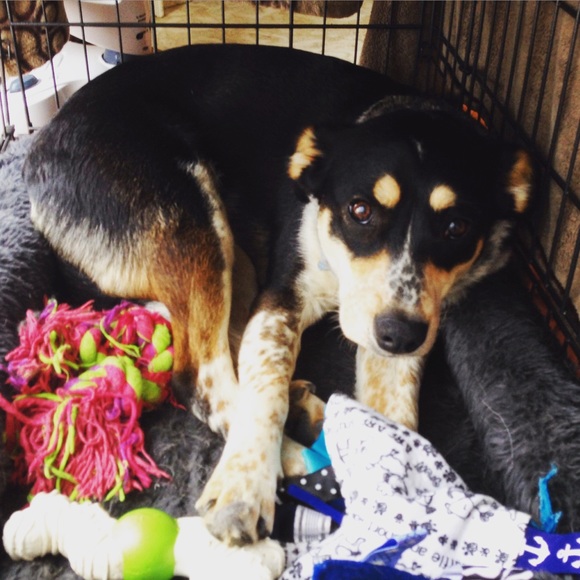 Meet your Posher, Hannah - Picture 1 of 1