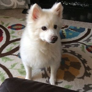 Meet your Posher, Maggie