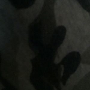 Meet your Posher, Angel