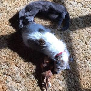 Meet your Posher, Jerri