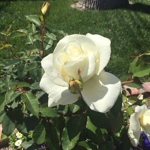 Meet your Posher, Cathe