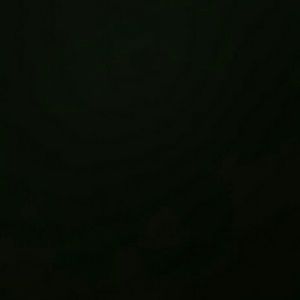 Meet your Posher, Quincy