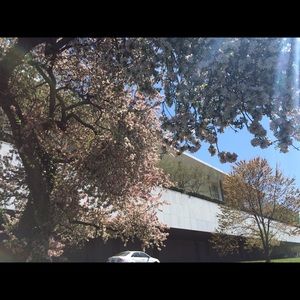 Meet your Posher, Jay