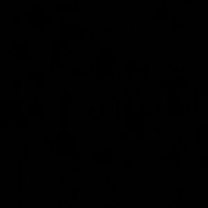 Meet your Posher, Pietro