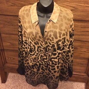 Beautiful Sheer Blouse 14/16