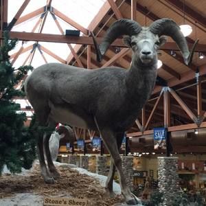 Meet your Posher, Marti