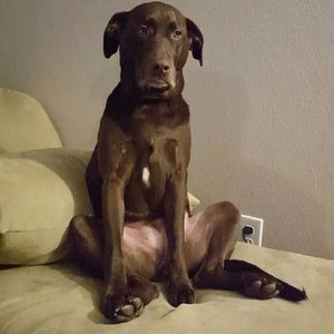 Meet your Posher, Tara