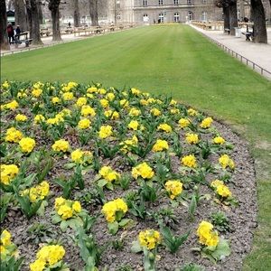 Meet your Posher, Maddie