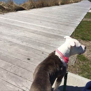 Meet your Posher, Aneta