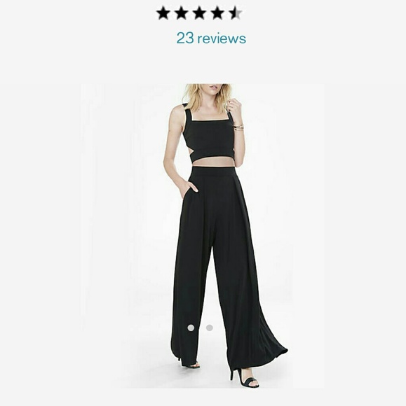 Express Pleated Wide Leg Knit Pant