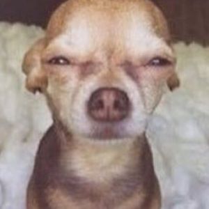 Meet your Posher, Angelica