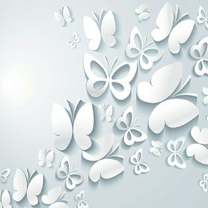 Meet your Posher, Aayla