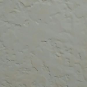 Meet your Posher, Jaylen