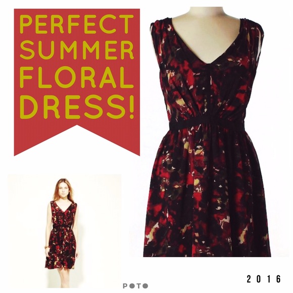 Stunning Cynthia Steffe Floral Chiffon Dress