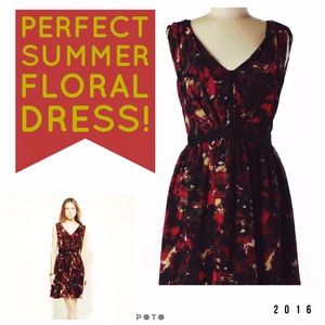 Stunning Cynthia Steffe Floral Chiffon Dress