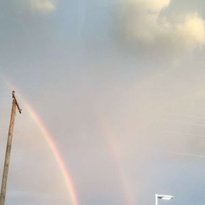 Meet your Posher, Dani