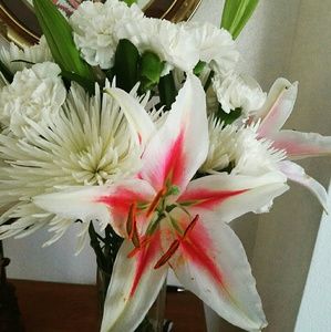 Meet your Posher, Jessenia