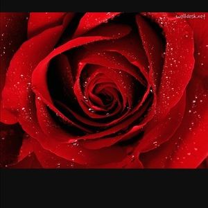 Meet your Posher, Mabel