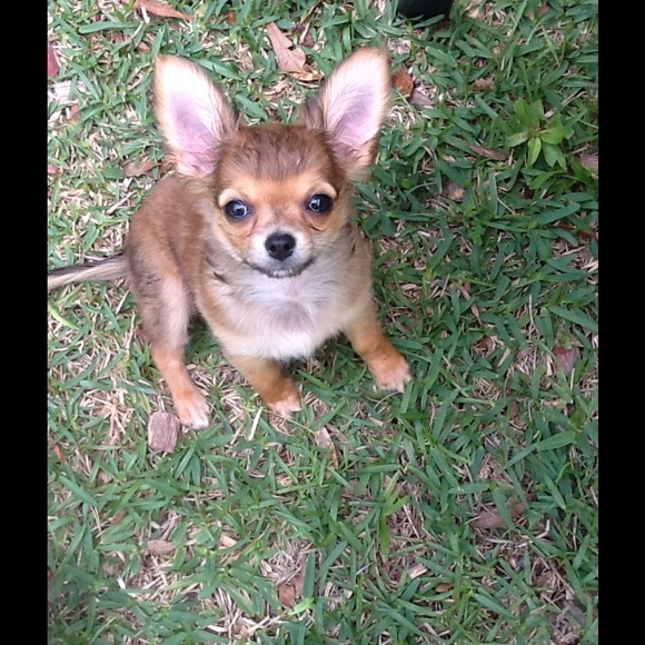 Meet your Posher, Tina