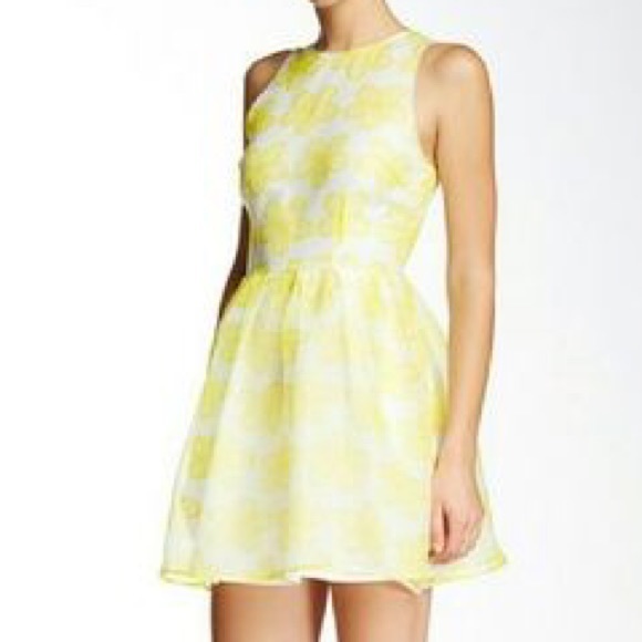 bb dakota yellow dress