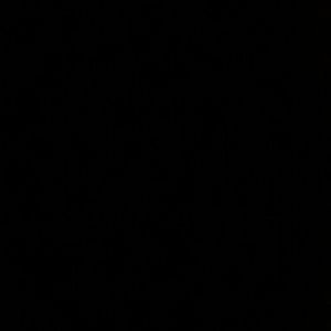 Meet your Posher, Rose