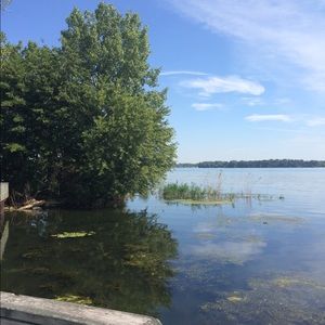 Meet your Posher, Rita