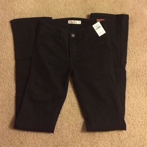 ❕Black Hollister Bootcut Jeans❕