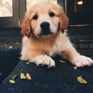 Meet your Posher, Camilla