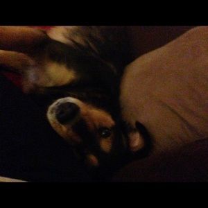 Meet your Posher, Kelsey