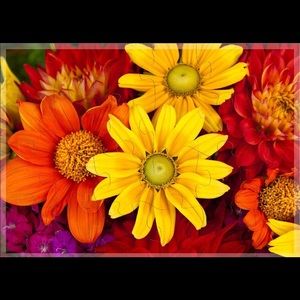 Meet your Posher, Mary