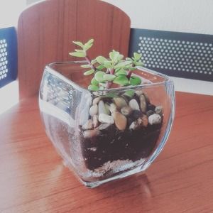 Meet your Posher, Phi